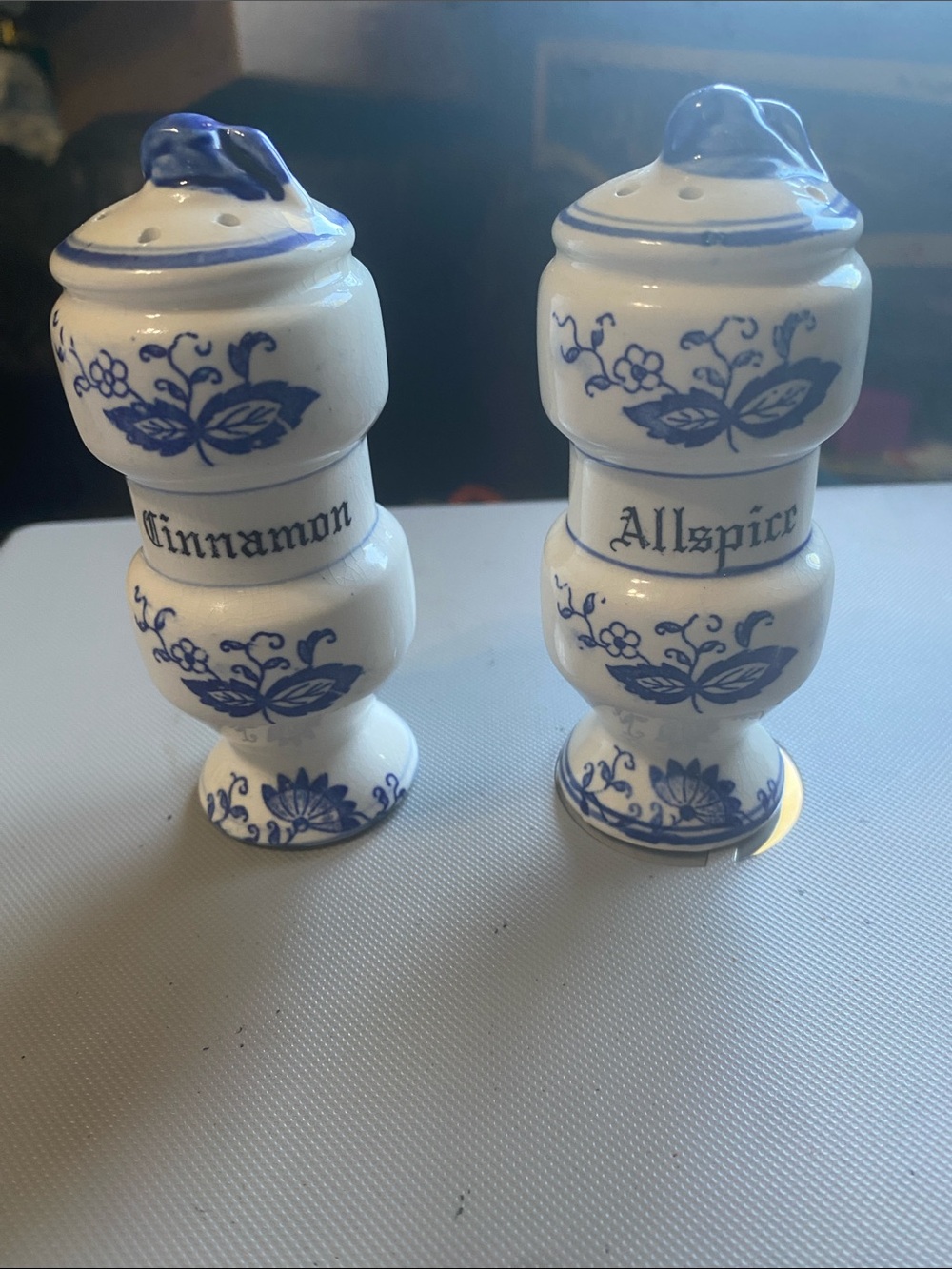 Blue Onion Cinnamon & Allspice Porcelain Spice Shakers - Blue and White